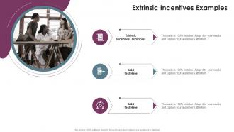 Extrinsic Incentives Examples In Powerpoint And Google Slides Cpb