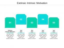 Extrinsic intrinsic motivation ppt powerpoint presentation ideas clipart images cpb
