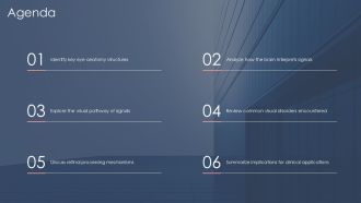 Eye Anatomy Pathway And Processing PPT Example AT Interactive Content Ready