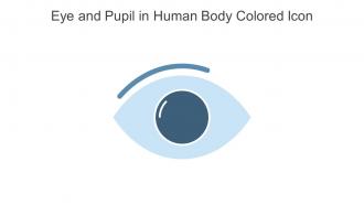 Eye And Pupil In Human Body Colored Icon In Powerpoint Pptx Png And Editable Eps Format