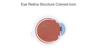 Eye Retina Structure Colored Icon In Powerpoint Pptx Png And Editable Eps Format