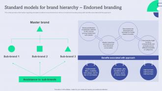 F1006 Standard Models For Brand Hierarchy Enhance Brand Equity Administering Product Umbrella Branding