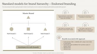 F1049 Standard Models For Brand Hierarchy Optimize Brand Growth Through Umbrella Branding Initiatives