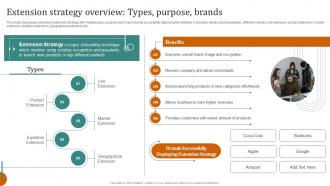 F687 Extension Strategy Overview Purpose Brands Launching New Products Through Product Line Expansion