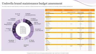 F804 Umbrella Brand Maintenance Budget Assessment Product Corporate And Umbrella Branding