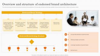 F908 Overview And Structure Of Endorsed Brand Architecture Co Branding Strategy For Product Awareness
