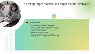 F978 Selecting Target Markets And Target Market Strategies Table Of Contents