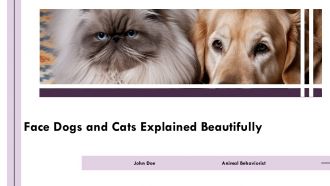 Face Dogs And Cat PPT Example AT