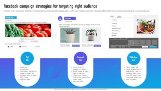 Facebook Campaign Strategies For Targeting Right Marketing Campaign Strategy To Boost