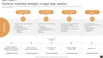 Facebook Marketing Strategies To Target Large Audience Applying Multiple Marketing Strategy SS V