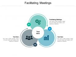 Facilitating meetings ppt powerpoint presentation styles clipart cpb