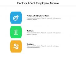 Factors affect employee morale ppt powerpoint presentation file summary cpb