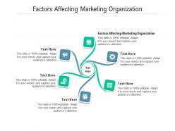 Factors affecting marketing organization ppt powerpoint presentation icon templates cpb
