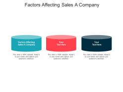 Factors affecting sales a company ppt powerpoint presentation infographics examples cpb