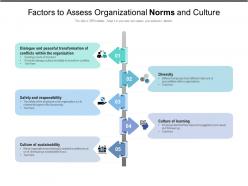 Factors to assess organizational norms and culture