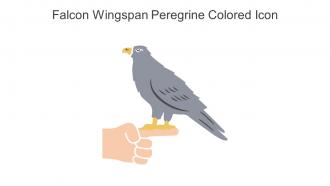 Falcon Wingspan Peregrine Colored Icon In Powerpoint Pptx Png And Editable Eps Format