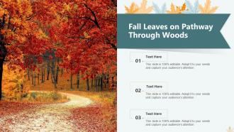 Fall Leaves Powerpoint PPT Template Bundles
