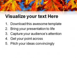 Fall oak leaves nature powerpoint templates and powerpoint backgrounds 0511