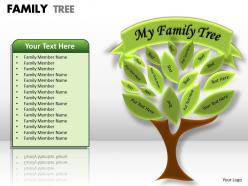 Family tree 1 13