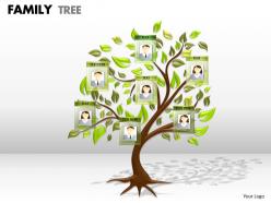 Family tree 1 1