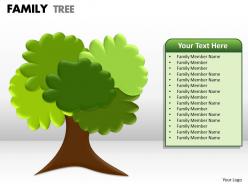 Family tree 1 20