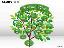 Family tree 1 22