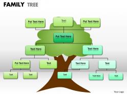 Family tree 1 24