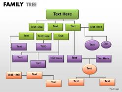 Family tree 1 25