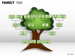 Family tree 1 3
