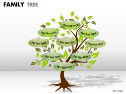 Family tree 1 4
