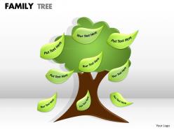 Family tree 1 6
