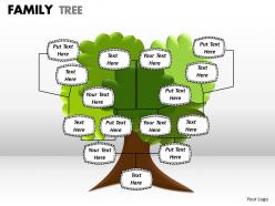 Family tree 1 7