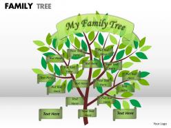 Family tree 1 8