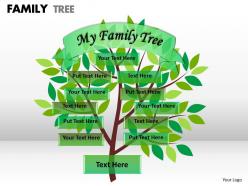 Family tree 1 9