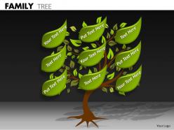 Family tree ppt 10