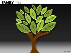 Family tree ppt 12