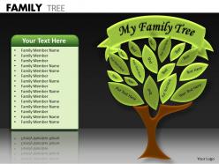 Family tree ppt 13