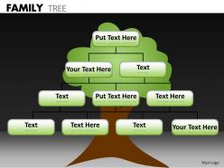 Family tree ppt 14