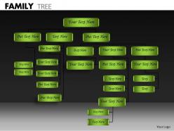 Family Tree ppt 16