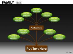 Family tree ppt 17