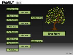 Family Tree ppt 19