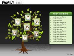Family tree ppt 21