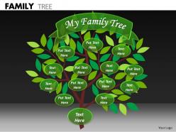 Family tree ppt 22