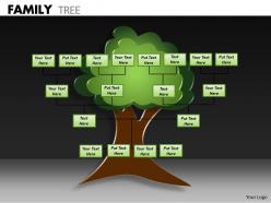 Family tree ppt 3