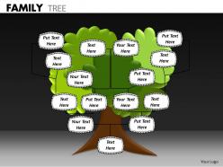 Family tree ppt 7