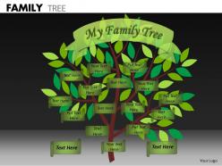 Family tree ppt 8