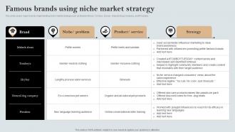 Famous Brands Using Niche Market Strategy A Comprehensive Guide MKT SS V