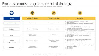 Famous Brands Using Niche Market Strategy Powerful Sales Tactics For Meeting MKT SS V