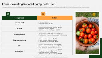 Farm Produce Marketing Approach Farm Marketing Financial And Growth Plan Strategy SS V