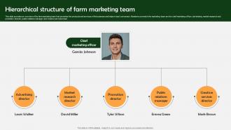 Farm Produce Marketing Approach Hierarchical Structure Of Farm Marketing Team Strategy SS V
